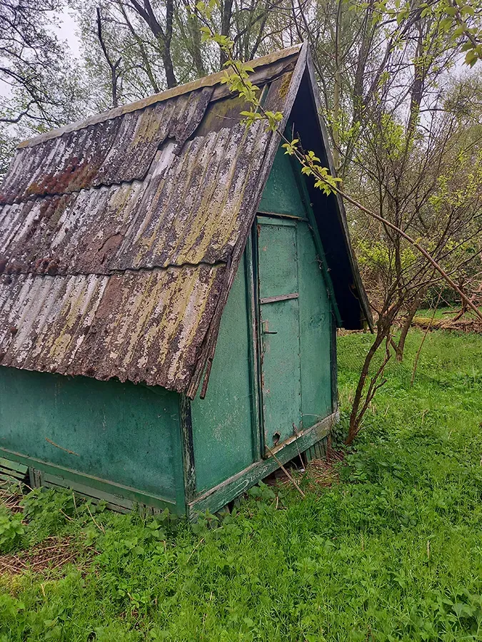 Zdjęcie z galerii WYSPA “WIELKA ŻUŁAWA” #1