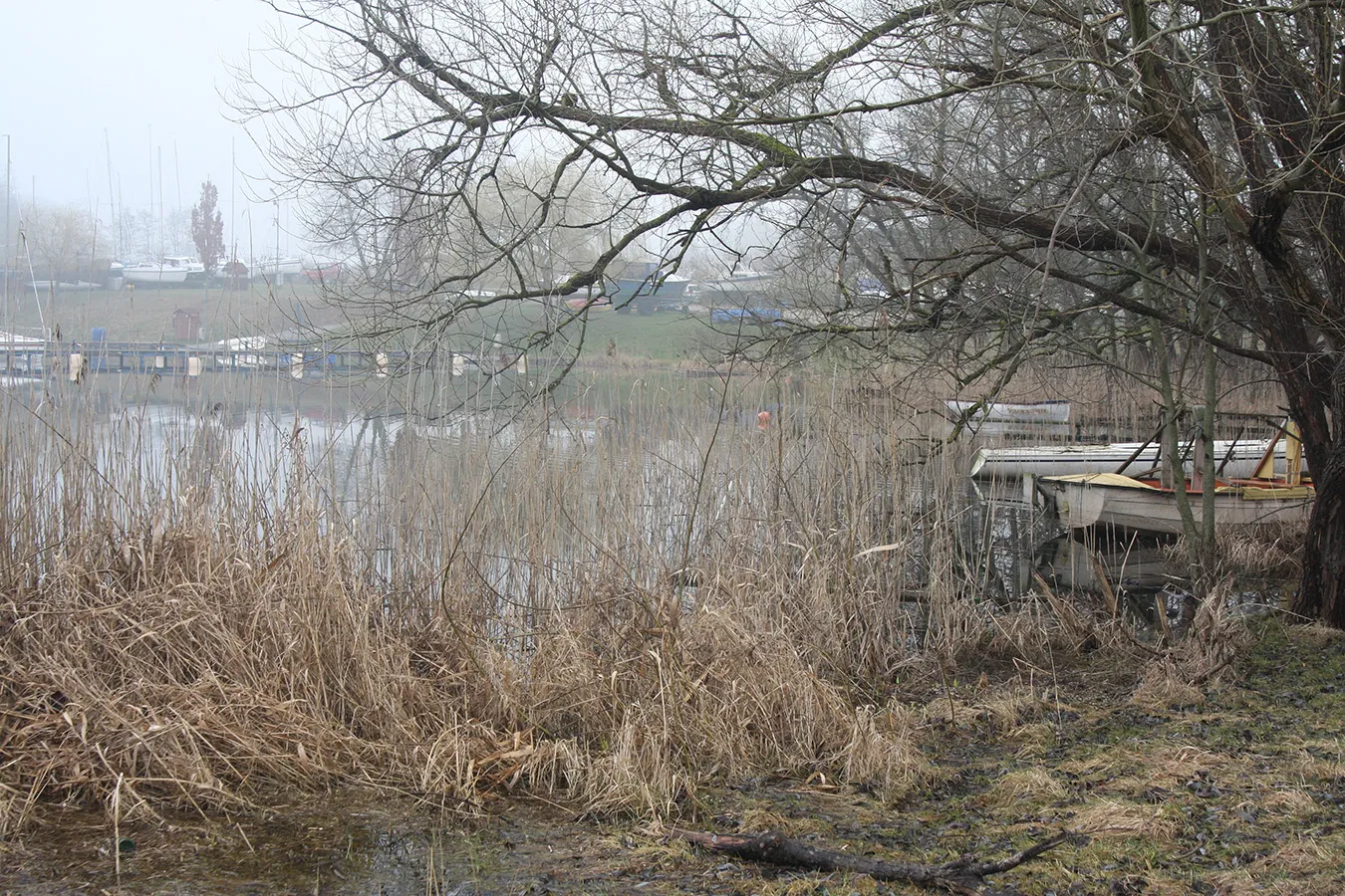 Zdjęcie z galerii Przystań "Skarbek" #16